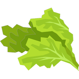 Lettuce